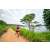 Team 19 / Raid Amazones Sri Lanka 2022 - J1 Trail