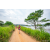 Team 06 / Raid Amazones Sri Lanka 2022 - J1 Trail