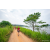 Team 318 / Raid Amazones Sri Lanka 2022 - J1 Trail