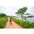 Team 26 / Raid Amazones Sri Lanka 2022 - J1 Trail