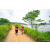 Team 43 / Raid Amazones Sri Lanka 2022 - J1 Trail