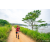 Team 37 / Raid Amazones Sri Lanka 2022 - J1 Trail