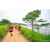 Team 74 / Raid Amazones Sri Lanka 2022 - J1 Trail