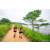 Team 74 / Raid Amazones Sri Lanka 2022 - J1 Trail