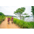 Team 15 / Raid Amazones Sri Lanka 2022 - J1 Trail