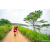 Team 71 / Raid Amazones Sri Lanka 2022 - J1 Trail
