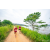 Team 01 / Raid Amazones Sri Lanka 2022 - J1 Trail