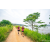 Team 38 / Raid Amazones Sri Lanka 2022 - J1 Trail