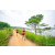 Team 307 / Raid Amazones Sri Lanka 2022 - J1 Trail