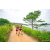 Team 16 / Raid Amazones Sri Lanka 2022 - J1 Trail