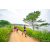Team 336 / Raid Amazones Sri Lanka 2022 - J1 Trail