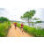 Team 81 / Raid Amazones Sri Lanka 2022 - J1 Trail