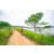 Team 21 / Raid Amazones Sri Lanka 2022 - J1 Trail