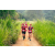 Team 92 / Raid Amazones Sri Lanka 2022 - J1 Trail