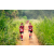 Team 46 / Raid Amazones Sri Lanka 2022 - J1 Trail