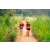 Team 58 / Raid Amazones Sri Lanka 2022 - J1 Trail