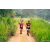 Team 85 / Raid Amazones Sri Lanka 2022 - J1 Trail