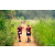 Team 07 / Raid Amazones Sri Lanka 2022 - J1 Trail