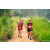 Team 79 / Raid Amazones Sri Lanka 2022 - J1 Trail