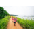 Team 322 / Raid Amazones Sri Lanka 2022 - J1 Trail