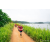 Team 338 / Raid Amazones Sri Lanka 2022 - J1 Trail