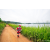 Team 90 / Raid Amazones Sri Lanka 2022 - J1 Trail