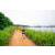 Team 89 / Raid Amazones Sri Lanka 2022 - J1 Trail
