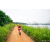 Team 89 / Raid Amazones Sri Lanka 2022 - J1 Trail