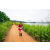Team 89 / Raid Amazones Sri Lanka 2022 - J1 Trail