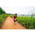 Team 70 / Raid Amazones Sri Lanka 2022 - J1 Trail