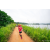 Team 39 / Raid Amazones Sri Lanka 2022 - J1 Trail