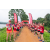 Raid Amazones Sri Lanka 2022 - J1 Trail