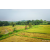 Raid Amazones Sri Lanka 2022 - J1 Trail