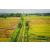 Raid Amazones Sri Lanka 2022 - J1 Trail