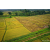 Raid Amazones Sri Lanka 2022 - J1 Trail