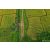 Raid Amazones Sri Lanka 2022 - J1 Trail
