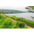 Raid Amazones Sri Lanka 2022 - J1 Trail