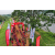 Raid Amazones Sri Lanka 2022 - J1 Trail