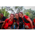 Team 13 / Raid Amazones Sri Lanka 2022 - J1 Trail