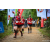 Team 90 / Raid Amazones Sri Lanka 2022 - J1 Trail