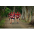 Team 306 / Raid Amazones Sri Lanka 2022 - J1 Trail