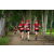 Team 306 / Raid Amazones Sri Lanka 2022 - J1 Trail
