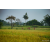Raid Amazones Sri Lanka 2022 - J1 Trail