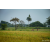 Raid Amazones Sri Lanka 2022 - J1 Trail