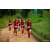 Team 19 / Raid Amazones Sri Lanka 2022 - J1 Trail
