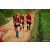 Team 312 / Raid Amazones Sri Lanka 2022 - J1 Trail