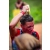 Raid Amazones Sri Lanka 2022 - J1 Trail