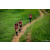 Team 304 / Raid Amazones Sri Lanka 2022 - J1 Trail