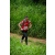 Team 304 / Raid Amazones Sri Lanka 2022 - J1 Trail