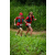 Team 18 / Raid Amazones Sri Lanka 2022 - J1 Trail